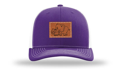 Purple / White